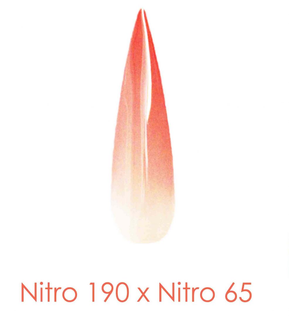 Nitro Dipping Powder - Set of 2 Ombre Colors 2oz/Jar - FLOWER IN SOUL (NT190 X 065)