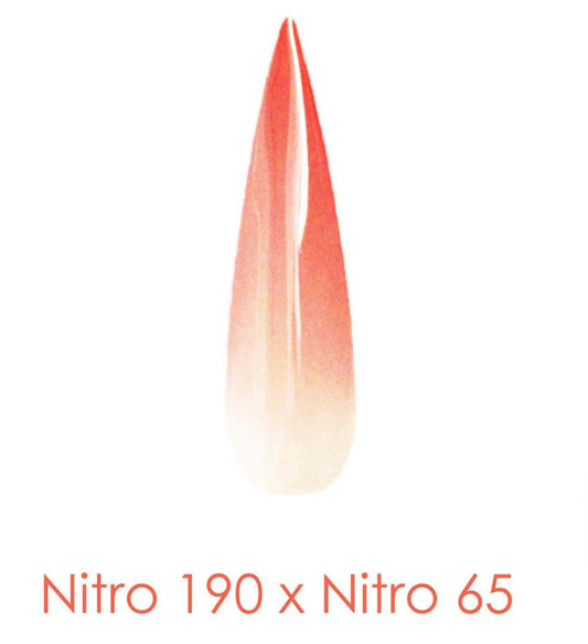 Nitro Dipping Powder - Set of 2 Ombre Colors 2oz -  FLOWER IN SOUL (NT190 X 065)
